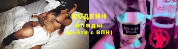 ПСИЛОЦИБИНОВЫЕ ГРИБЫ Алексин