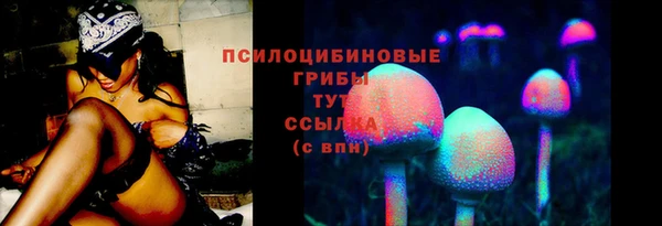 ПСИЛОЦИБИНОВЫЕ ГРИБЫ Алексин