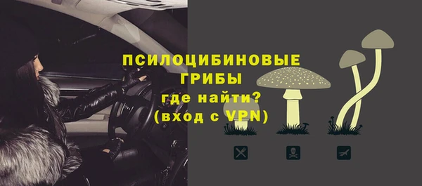 ПСИЛОЦИБИНОВЫЕ ГРИБЫ Алексин