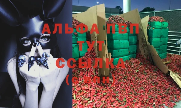 jwh Алзамай