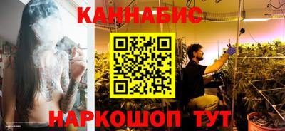 стафф Гудермес