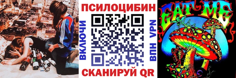 Галлюциногенные грибы Psilocybine cubensis  KRAKEN ссылки  Аша 