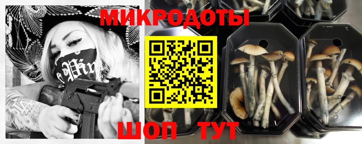 Аша  Галлюциногенные грибы мухоморы  Вход с VPN  Галлюциногенные грибы мицелий 