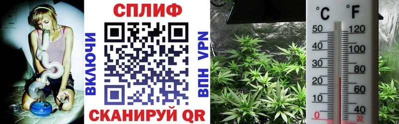 Канабис тримм  наркотики  Аша 